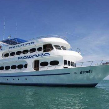 MV Pawara Similan Islands Liveaboard