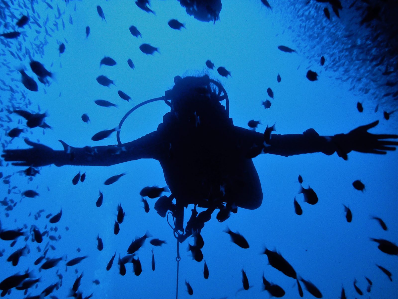 3 Techniques to help Master Buoyancy Control