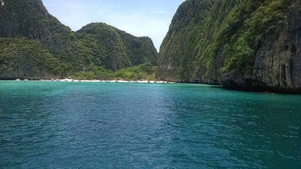 Phi Phi Dive Sites are open..