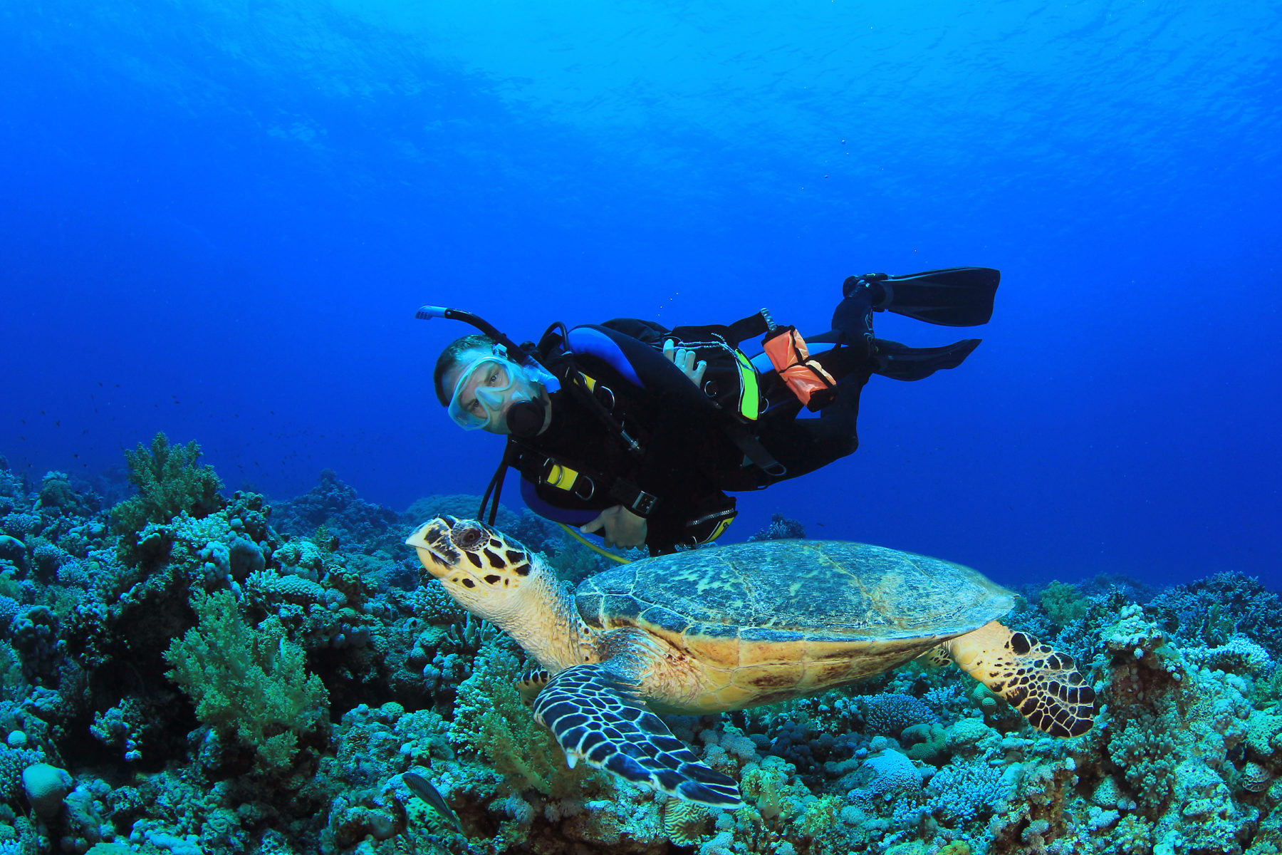 7 Quick Tips To Conserving Your Air Whilst Diving