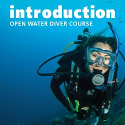 Introduction to Open Water Diver Learning