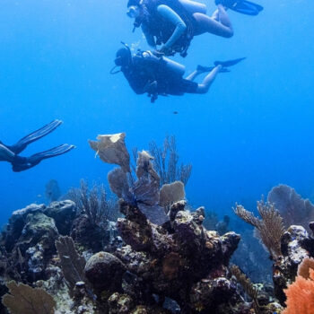 PADI Divemaster Phuket - GoPro